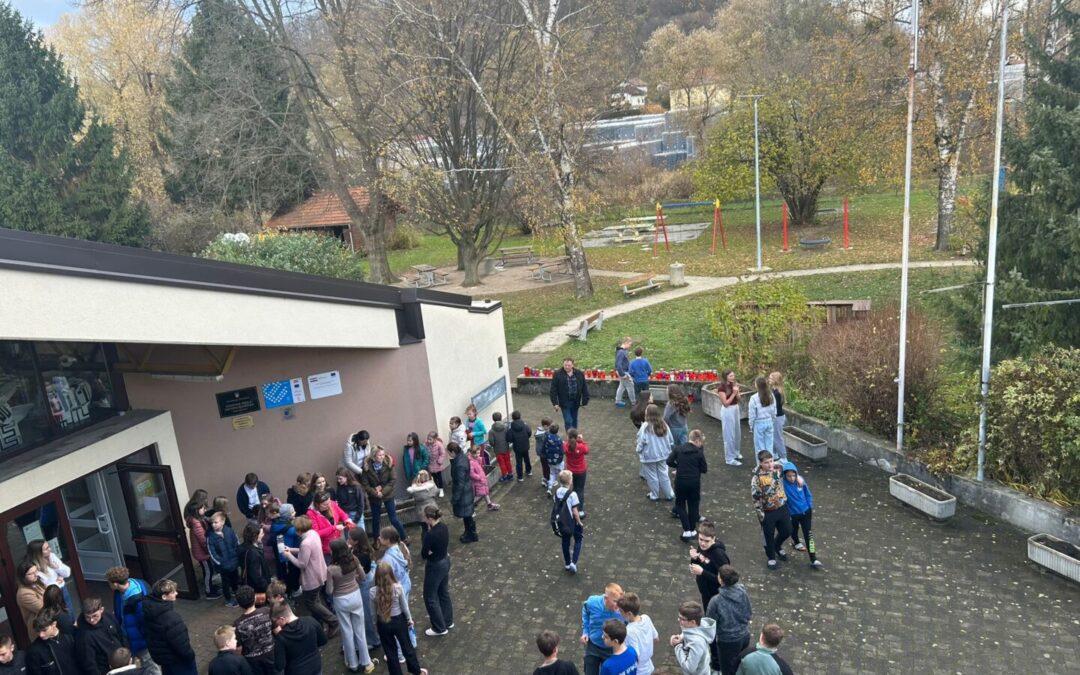 OBILJEŽAVANJE DANA SJEĆANJA NA ŽRTVE DOMOVINSKOG RATA i DANA SJEĆANJA NA ŽRTVE VUKOVARA i ŠKABRNJE