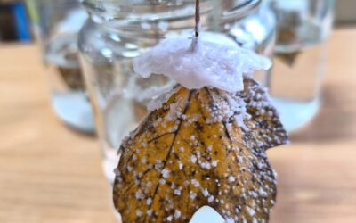 Slano jesensko lišće