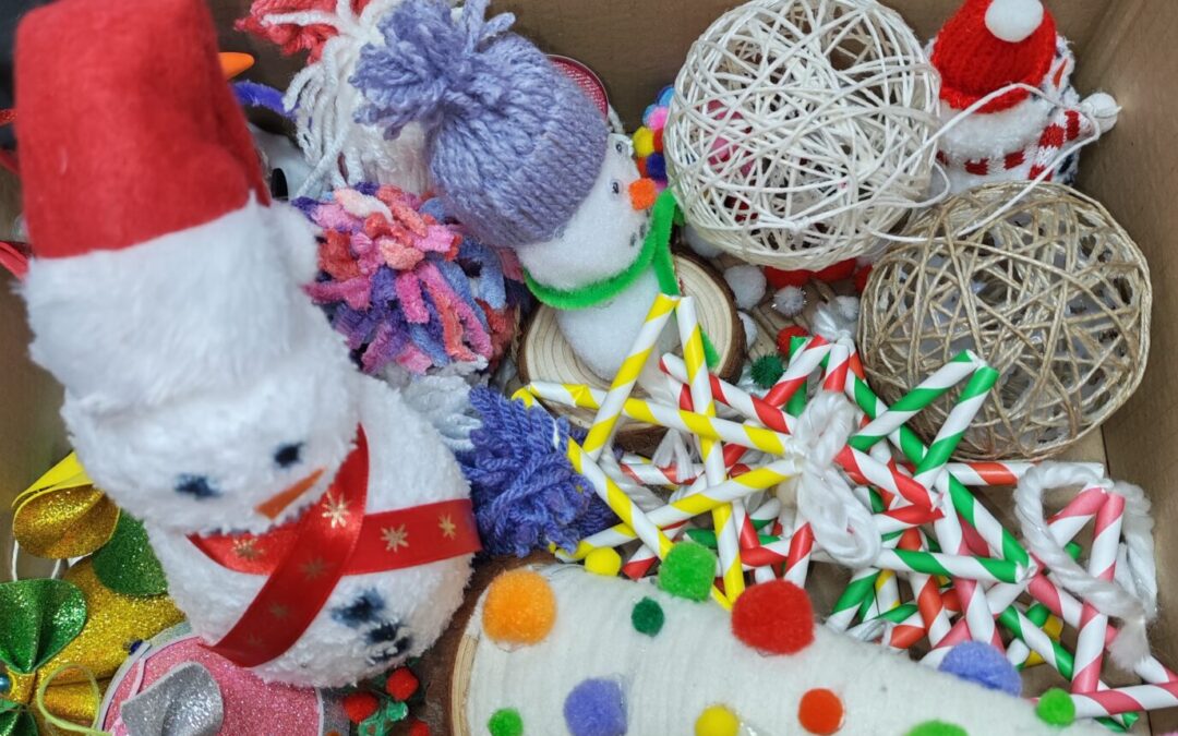 HUMANITARNA AKCIJA ZA MARIJINE OBROKE