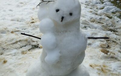 Svjetski dan snjegovića