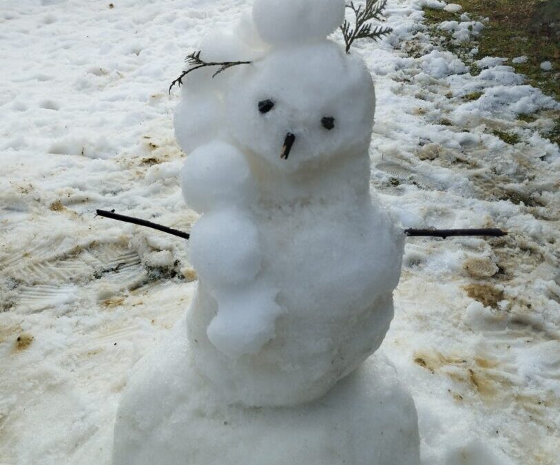 Svjetski dan snjegovića