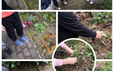 Provođenje projekta Earth is our home 2 / Zemlja je naš zajednički dom 2 u sklopu nastave Katoličkog vjeronauka