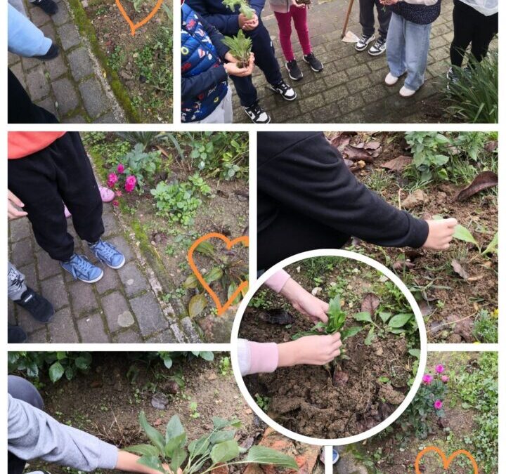 Provođenje eTwinning projekta Earth is our home 2 / Zemlja je naš zajednički dom 2 u sklopu nastave Katoličkog vjeronauka