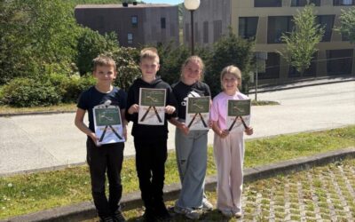 “Festival matematike” – MathFest