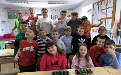 Mali plastenik u kartonskoj kutiji za jaja